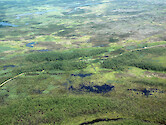 Healthy marshes (green) and stressed marshes (brown) in Fishing Bay Wildlife Management Area