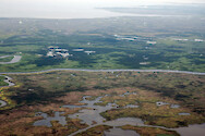 Healthy marshes (green) and stressed marshes (brown) in and around Blackwater National Wildlife Refuge and Fishing Bay Wildlife Management Area.