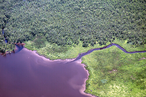 Plumes coming from tributaries of the Nanticoke River, after the excessive rains of June 2006