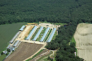Poultry farming in the Nanticoke River watershed