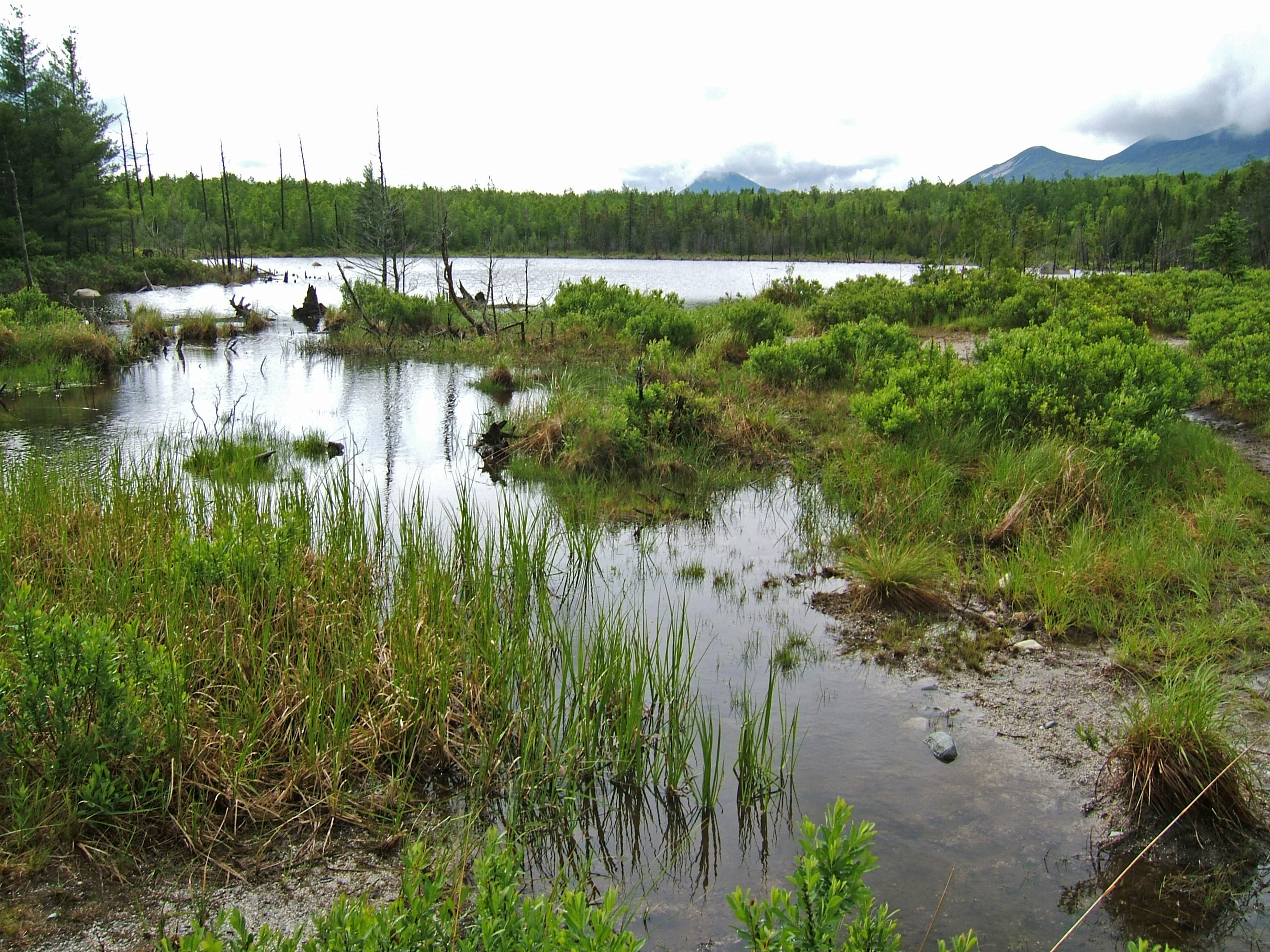 Stump Pond, Baxter State Park, Maine Media Library Integration and
