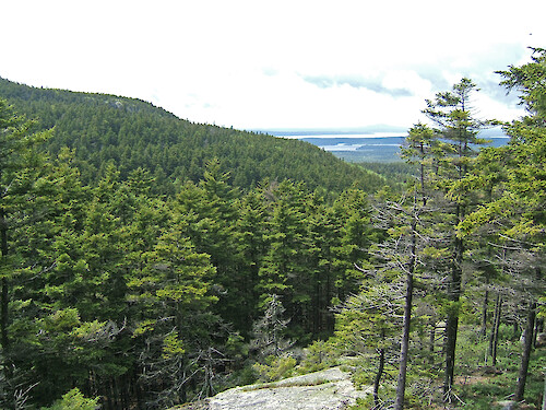 Part way up Mansell Mountain on west side of Acadia National Park, Maine