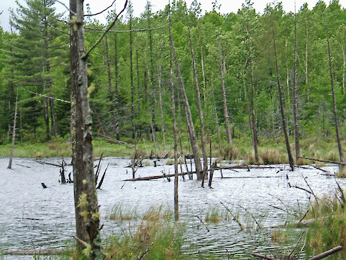 Stump Pond, Baxter State Park, Maine