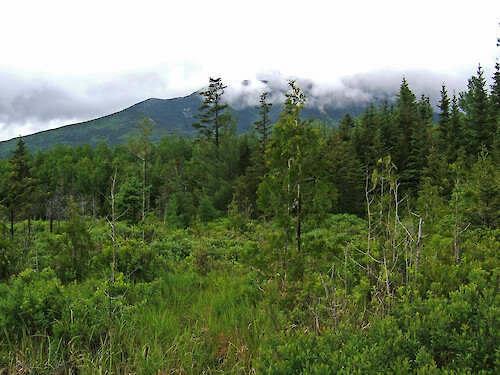 Mountain in Baxter State Park