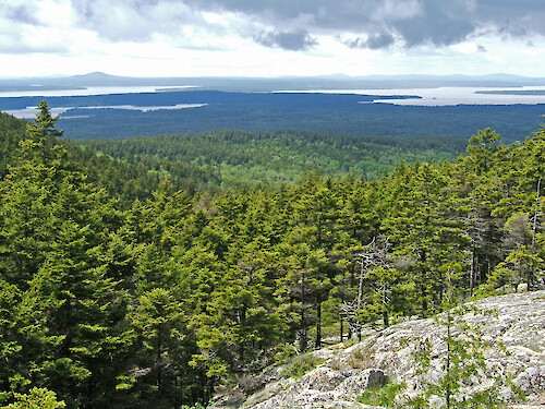 Part way up Mansell Mountain, west side of Acadia National Park, Maine