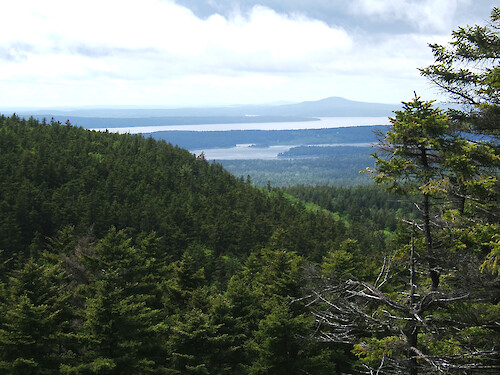 Part way up Mansell Mountain, on west side of Acadia National Park, Maine