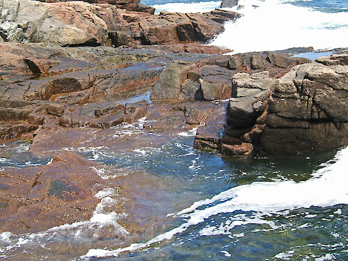Tide pools at Thunder Hole, Acadia National Park, Maine