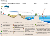 Conceptual diagram of processes in Tropical coastal regions developed as part of the LOICZ project to look at Land Ocean Interactions in the Coastal Zone