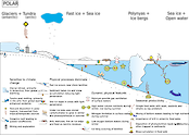 Conceptual diagram of processes in Polar coastal regions developed as part of the LOICZ project to look at Land Ocean Interactions in the Coastal Zone