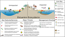 Conceptual diagram of habitats in Tropical Estuarine regions developed as part of the LOICZ project to look at Land Ocean Interactions in the Coastal Zone