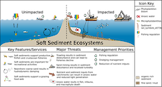 Conceptual diagram of habitats in Tropical Soft Sediment developed as part of the LOICZ project to look at Land Ocean Interactions in the Coastal Zone