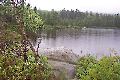 Sandy Stream Pond, Baxter State Park, Maine