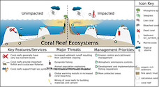 Conceptual diagram of habitats in Tropical Coral Reefs developed as part of the LOICZ project to look at Land Ocean Interactions in the Coastal Zone