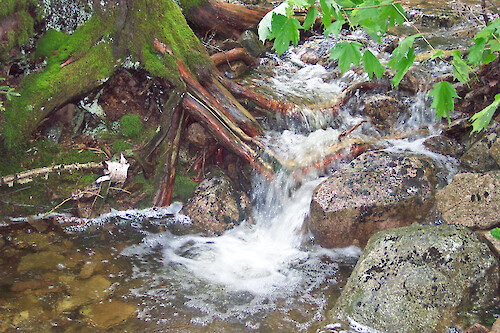 Stream along hiking trail, western side of Acadia National Park, Maine