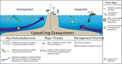 Conceptual diagram of habitats in Temperate Upwelling Ecosystems developed as part of the LOICZ project to look at Land Ocean Interactions in the Coastal Zone