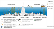 Conceptual diagram of habitats in Temperate Rocky Reef Ecosystems developed as part of the LOICZ project to look at Land Ocean Interactions in the Coastal Zone
