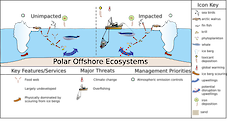 Conceptual diagram of habitats in Polar Offshore Ecosystems developed as part of the LOICZ project to look at Land Ocean Interactions in the Coastal Zone