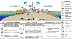 Conceptual diagram of habitats in Tropical Mangrove Ecosystems developed as part of the LOICZ project to look at Land Ocean Interactions in the Coastal Zone