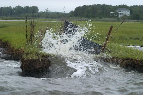 Boat wash causing erosion in the Maryland Coastal Bays