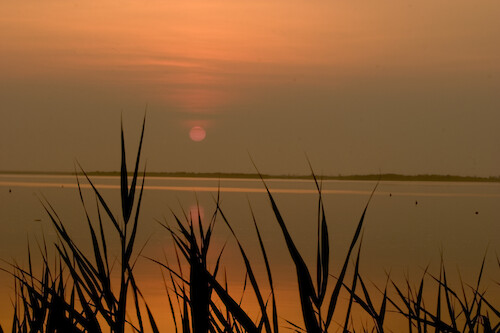 Sunrise over Maryland Coastal Bays