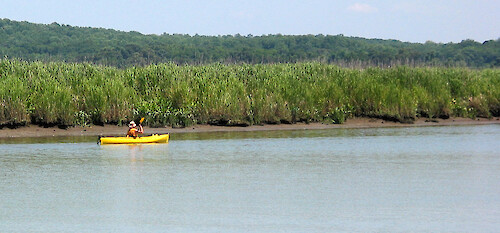 Kayaking in the Patuxent River, Maryland