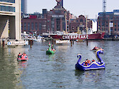 Families enjoying the water on paddleboats in Baltimore Harbor, Maryland