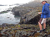 Rocky intertidal area at Sea West, north of Morro Bay, California