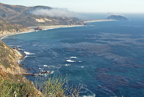 A stretch of the Big Sur coastline, showing the large kelp beds offshore