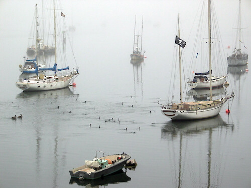 Early morning fog in the Morro Bay harbor
