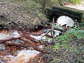 Acidic mine drainage through streams near Savage River State Forest in Garrett County, western Maryland.