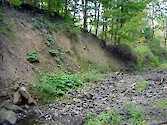 Dry Stream Bed in Savage River State Park, Garett County, western Maryland