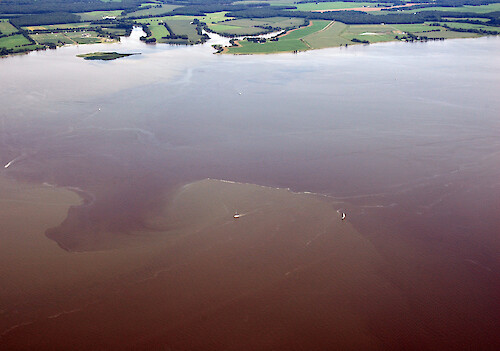 Sediment plumes in the Choptank River after the heavy rains of June and July 2006