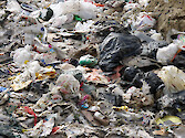 Plastic bags and other trash at a municipal landfill