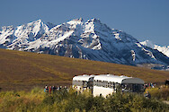 Denali National Park does not allow private vehicles into the park.