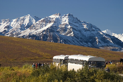 Denali National Park does not allow private vehicles into the park.