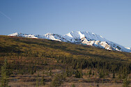 A scene in Denail National Park showing the progression in vegetation with elevation from trees through tundra to the alpine