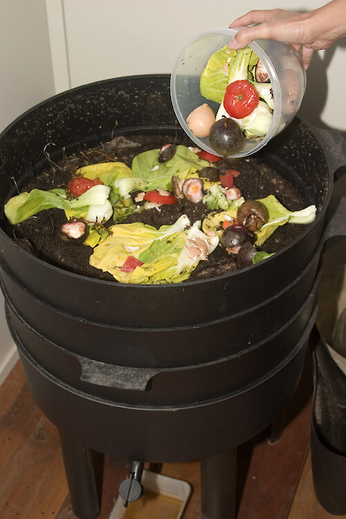 Composting food scraps in a multiple layer worm farm