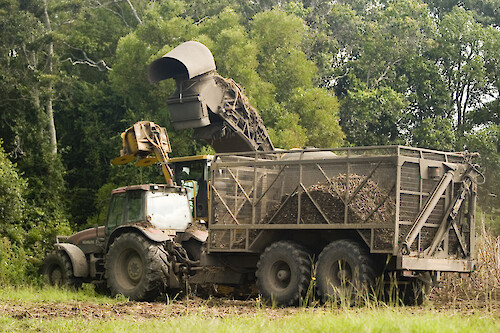 Sugarcane Harvester and cane collection truck