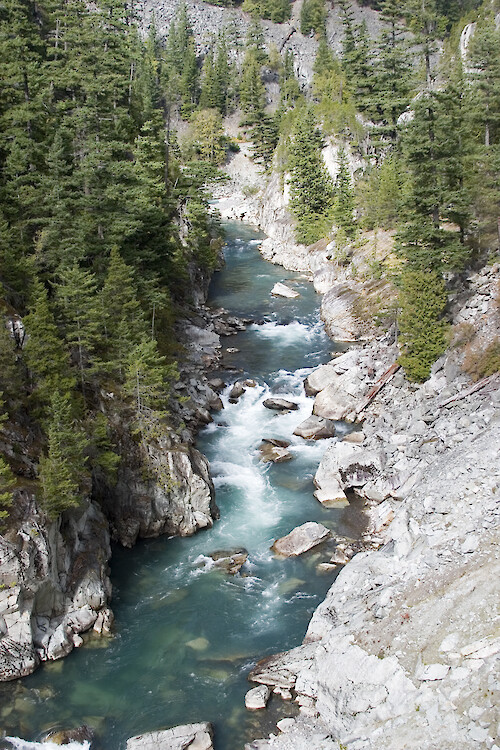 The Cheakamus River flows from Garibaldi Provincial Park, through Whistler to Squamish. 40, 000 litres of sodium hydroxide were spilled into the river on August 5th, 2005 when a CN rail tanker derailed. Estimates suggested that >90% of all the species of fish in the river were killed.