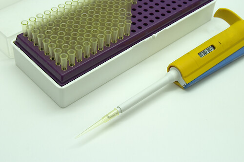 Pipetter and tray of pipettes