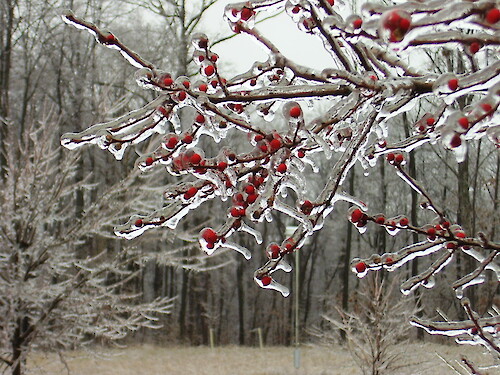 Ice storm in Frostburg, MD in January 2006.