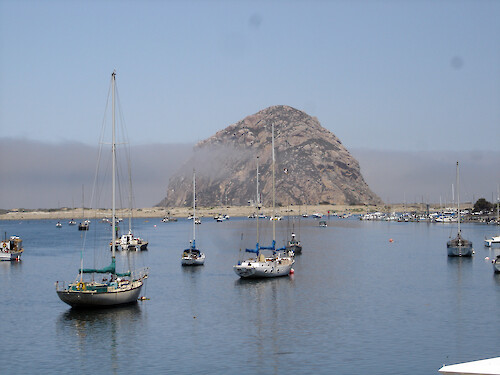 Sailboats on Morro Bay with Morro Rock in the background emerging from fog 