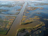 Navigation channel amongst eroding wetlands in Coastal Louisiana southeast of Houma
