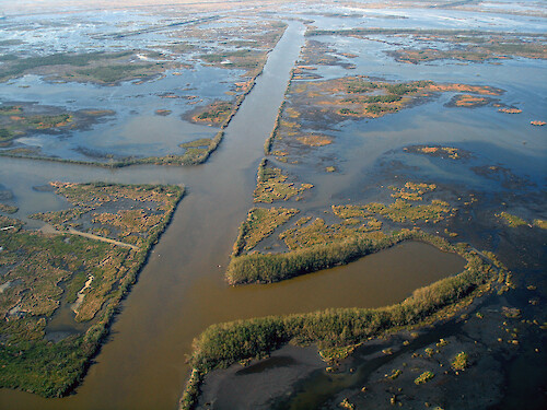Navigation channel amongst eroding wetlands in Coastal Louisiana southeast of Houma