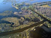 Navigation channel amongst eroding wetlands in Coastal Louisiana southeast of Houma 