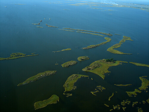 Small fragments of remnant marsh in Coastal Louisiana, SE of Houma