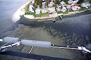 Helicopter view of dense Ulva at Bullock's Point, Providence River, Narragansett Bay RI