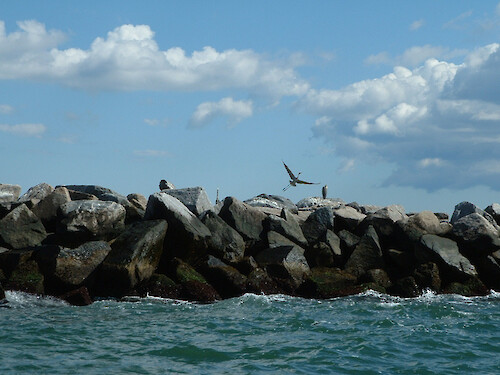 West wall of the Pt Judith Harbor of Refuge, Narragansett RI. Taken while getting in one last day in the striper fishing season. 
