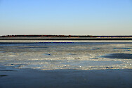 Ice on the Choptank River on 6 Feb 2007