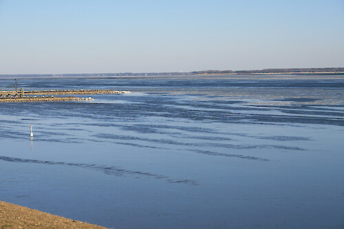 Ice in the Choptank River near the Horn Point Lab dock on 6 Feb 2007